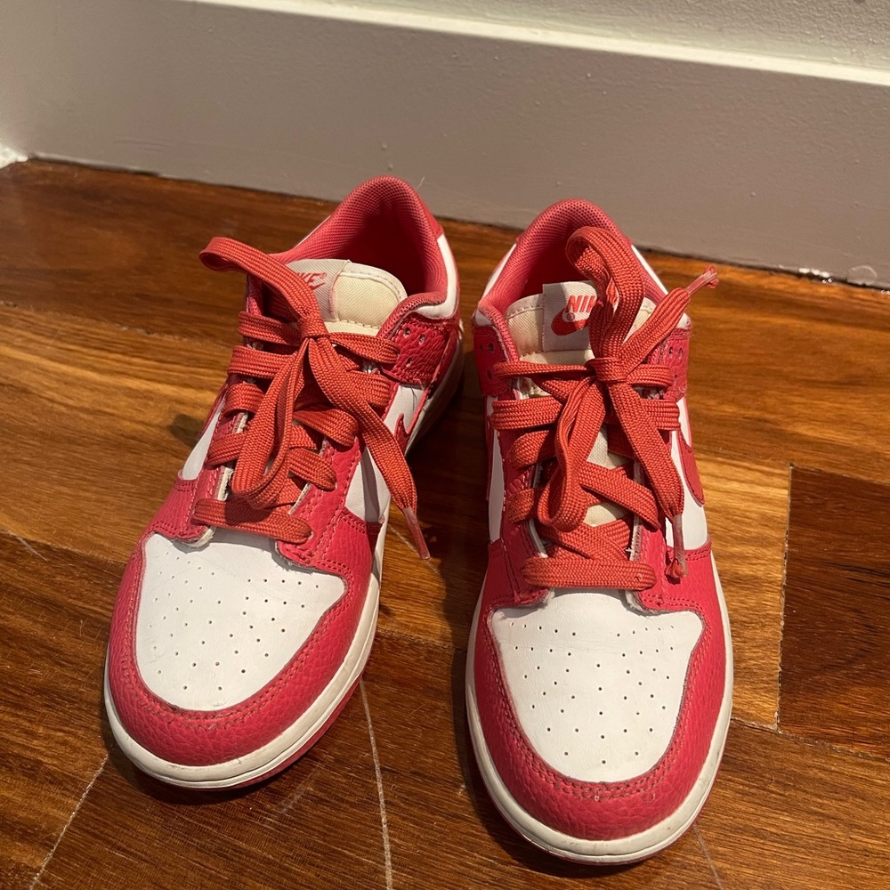 Nike dunk big kids